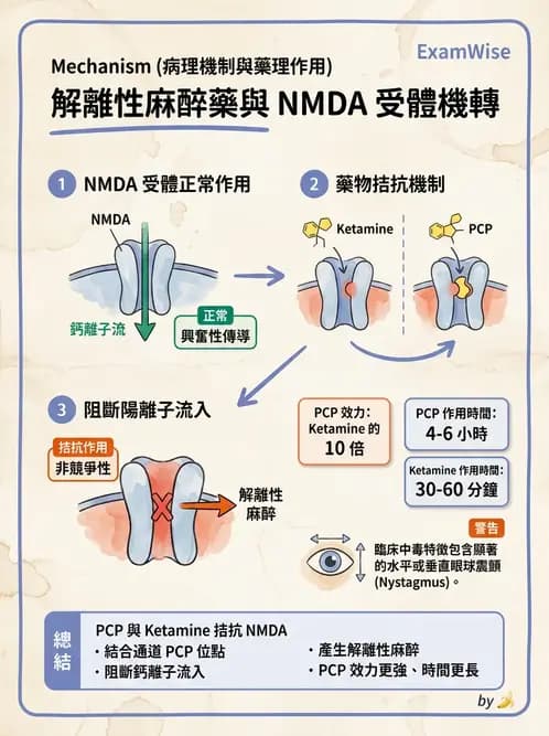 護理師 - 鎮痛、麻醉與神經科藥物 - AI 圖文解析預覽