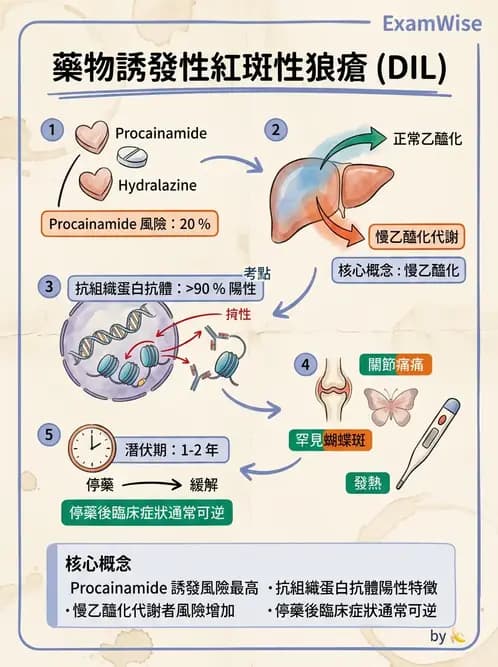 護理師 - 心臟藥物與抗血栓劑 - AI 圖文解析預覽
