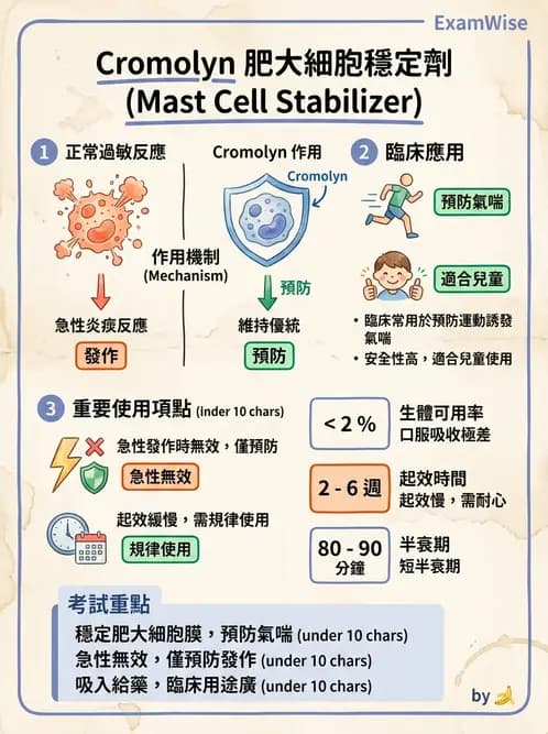 護理師 - 呼吸道及胃腸道作用藥物 - AI 圖文解析預覽