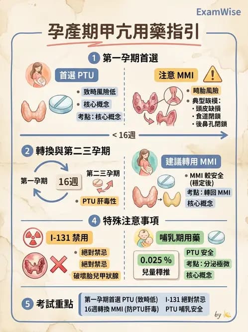 護理師 - 影響新陳代謝及內分泌功能藥物 - AI 圖文解析預覽