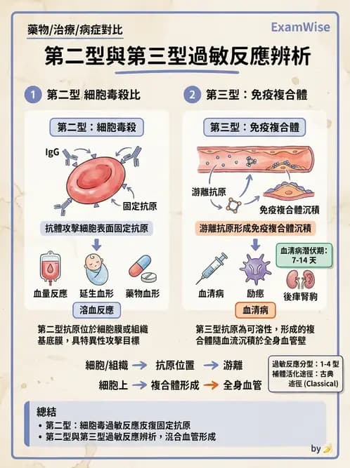 護理師 - 臨床免疫:免疫異常 - AI 圖文解析預覽