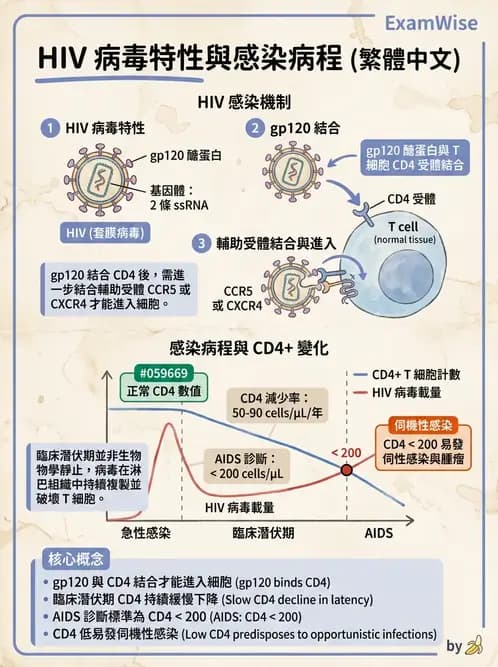 護理師 - RNA 病毒、新興病毒 - AI 圖文解析預覽