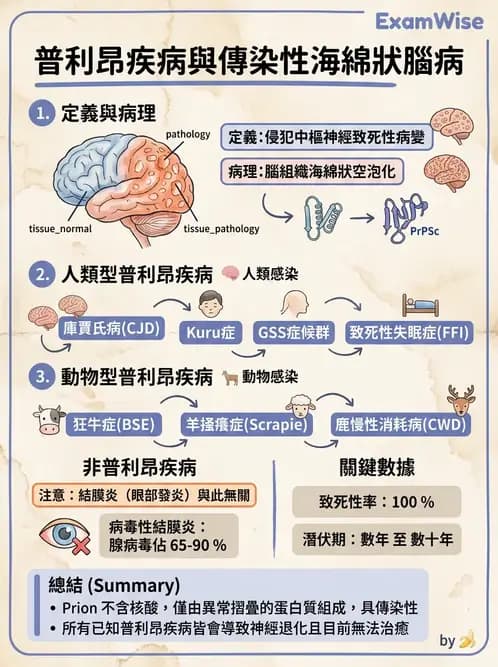 護理師 - 病毒學概念、prion - AI 圖文解析預覽
