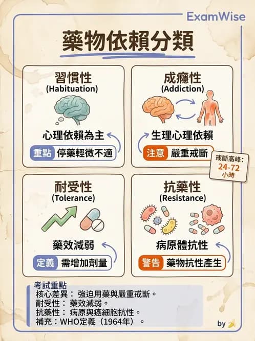 護理師 - 給藥原則與口服給藥 - AI 圖文解析預覽