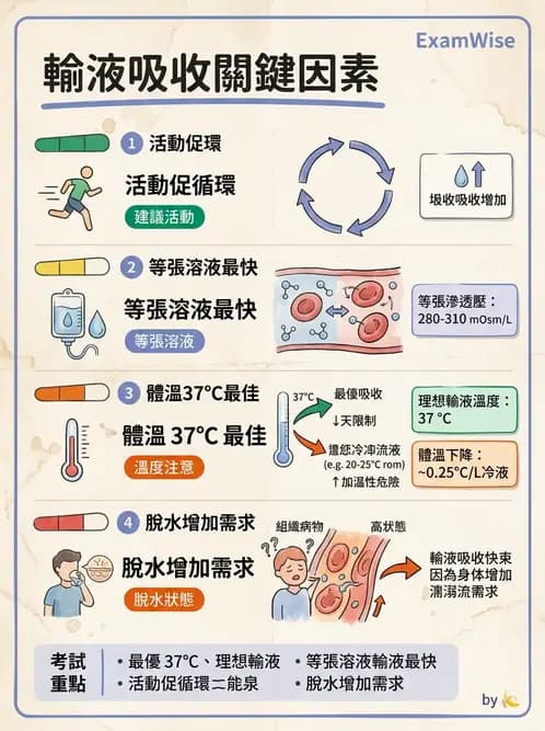 護理師 - 靜脈輸液與電解質平衡 - AI 圖文解析預覽