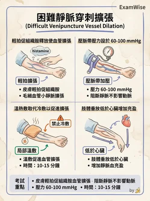 護理師 - 靜脈輸液與電解質平衡 - AI 圖文解析預覽