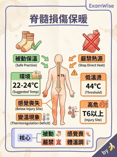 護理師 - 冷熱療法 - AI 圖文解析預覽