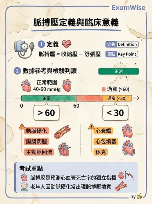 護理師 - 循環評估(脈搏與血壓) - AI 圖文解析預覽