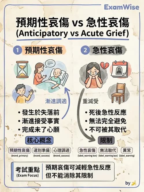 護理師 - 臨終與哀傷護理 - AI 圖文解析預覽