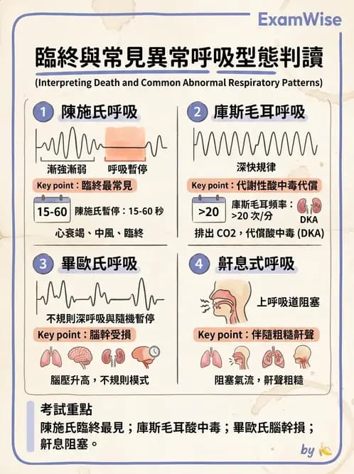 護理師 - 臨終與哀傷護理 - AI 圖文解析預覽