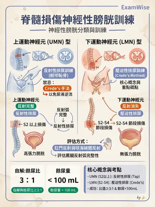 護理師 - 脊髓損傷與神經肌肉疾病 - AI 圖文解析預覽