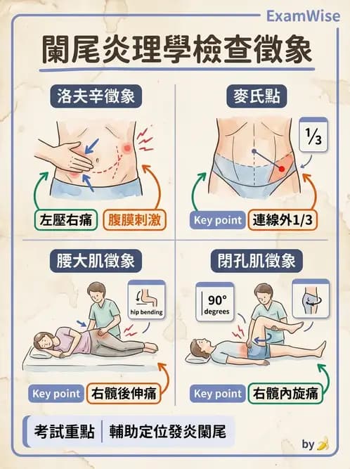 護理師 - 腸道疾病與手術護理 - AI 圖文解析預覽