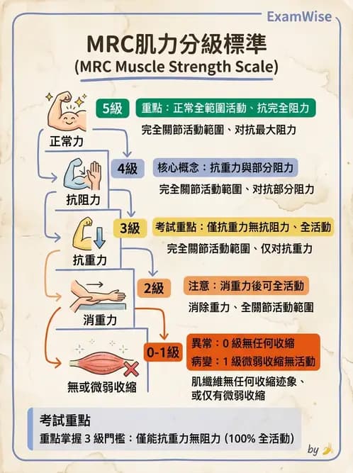 護理師 - 關節疾病與骨科手術 - AI 圖文解析預覽