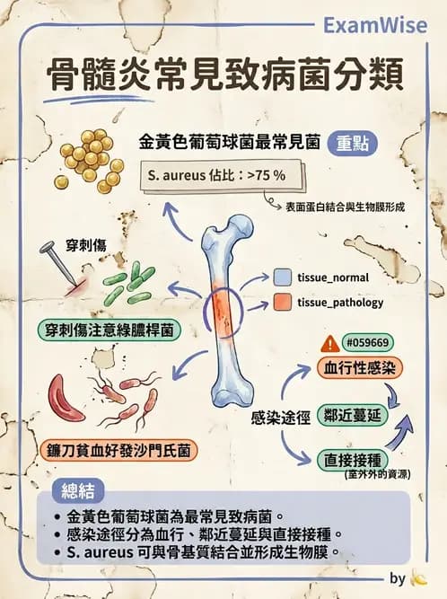 護理師 - 骨折與牽引護理 - AI 圖文解析預覽