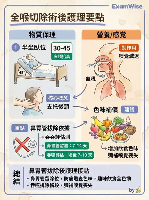 護理師 - 耳鼻喉疾病 - AI 圖文解析預覽