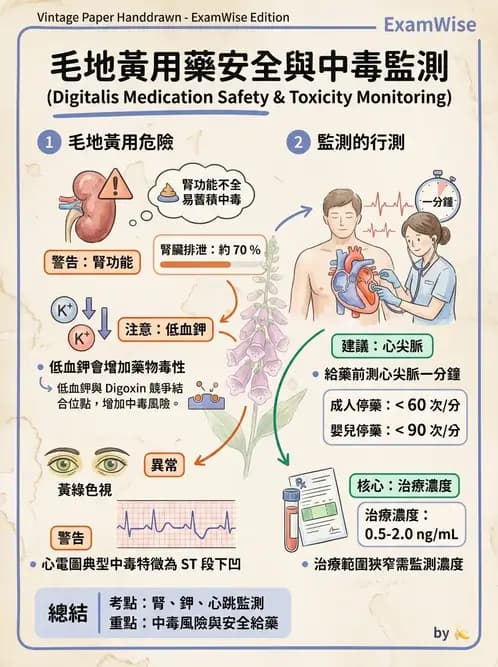 護理師 - 心臟衰竭與心律不整 - AI 圖文解析預覽