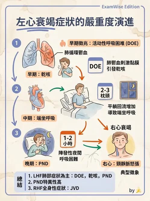 護理師 - 心臟衰竭與心律不整 - AI 圖文解析預覽