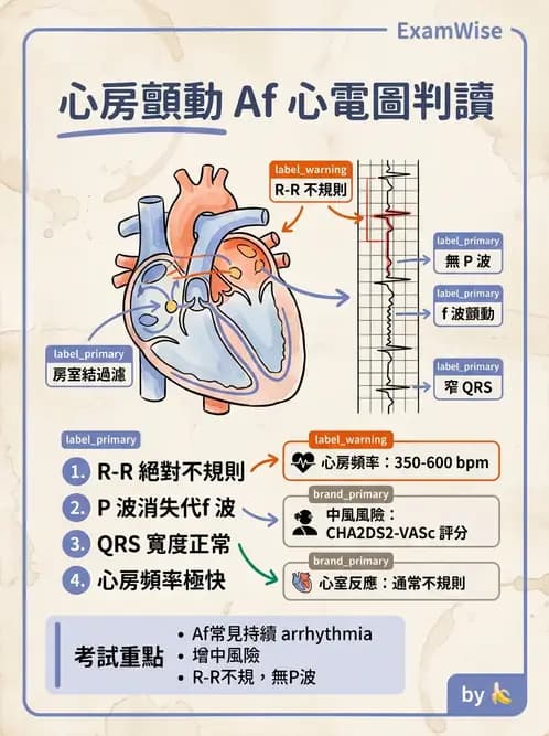 護理師 - 心臟衰竭與心律不整 - AI 圖文解析預覽