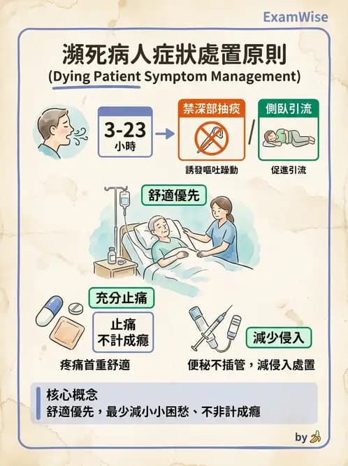 護理師 - 放療、疼痛管理與安寧護理 - AI 圖文解析預覽