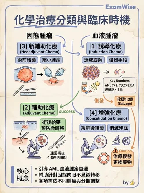 護理師 - 化療護理 - AI 圖文解析預覽