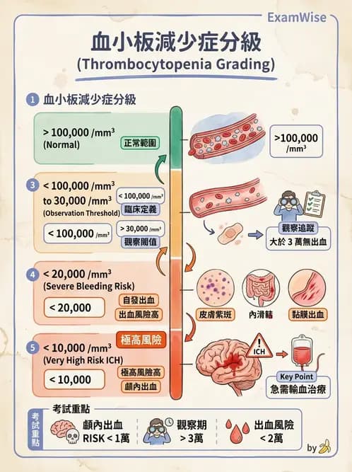 護理師 - 貧血與凝血疾病 - AI 圖文解析預覽