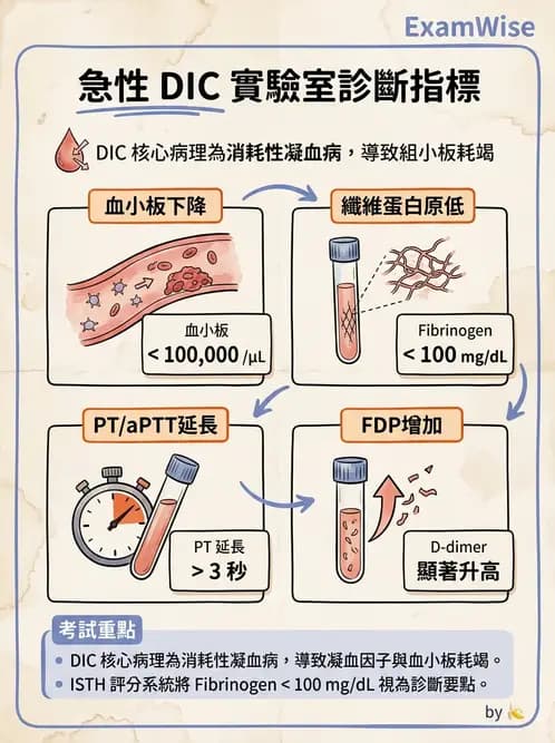 護理師 - 貧血與凝血疾病 - AI 圖文解析預覽