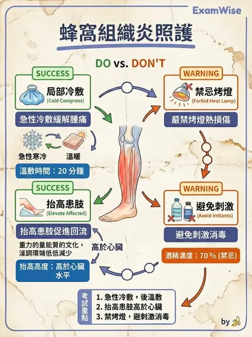 護理師 - 皮膚疾病與傷口護理 - AI 圖文解析預覽