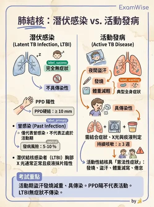 護理師 - 肺炎與呼吸道感染 - AI 圖文解析預覽
