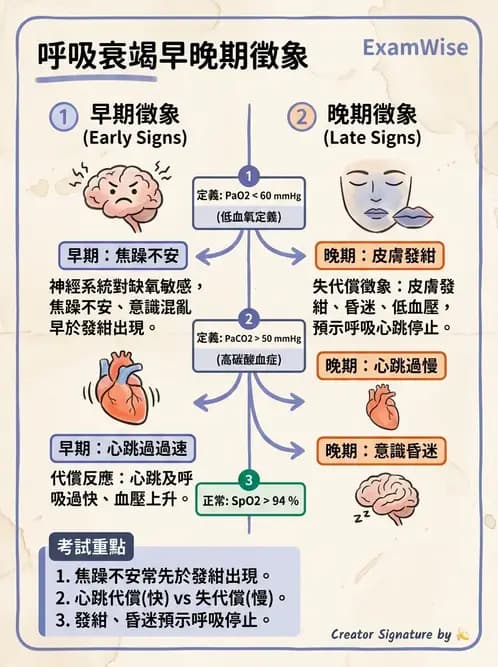 護理師 - 呼吸衰竭與胸腔護理 - AI 圖文解析預覽