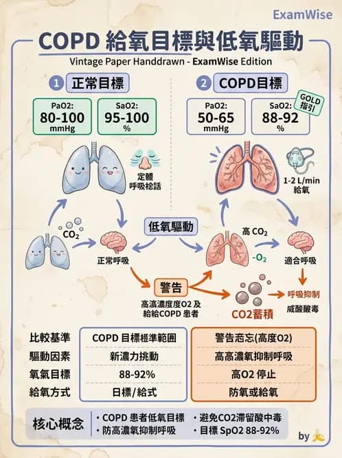 護理師 - COPD與氣喘 - AI 圖文解析預覽