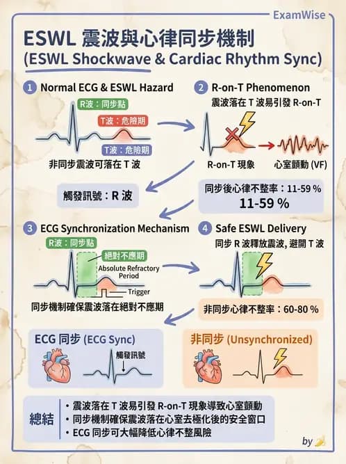 護理師 - 泌尿道疾病與排尿障礙 - AI 圖文解析預覽