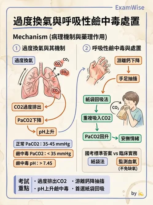護理師 - 透析、電解質與酸鹼平衡 - AI 圖文解析預覽