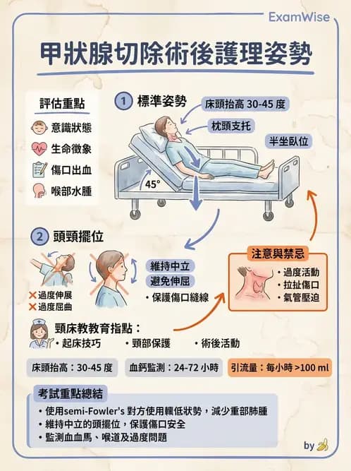 護理師 - 甲狀腺與副甲狀腺疾病 - AI 圖文解析預覽