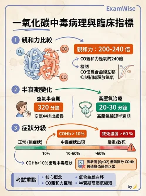 護理師 - 中毒與外傷護理 - AI 圖文解析預覽