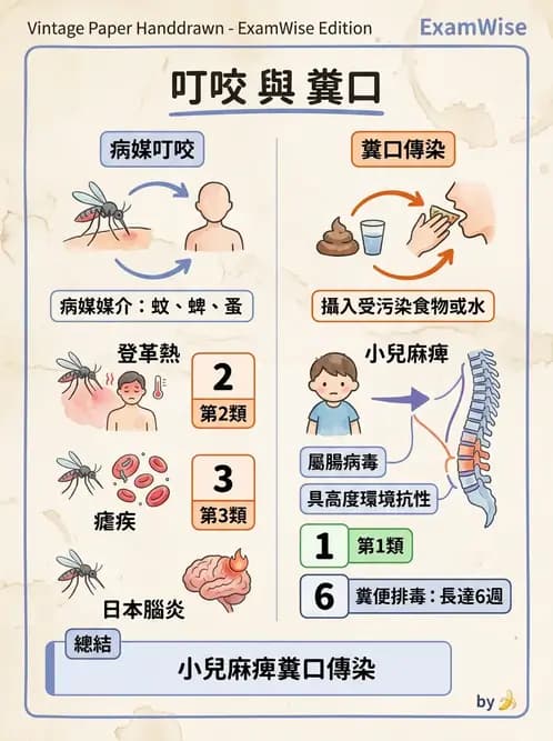 護理師 - 傳染病護理 - AI 圖文解析預覽