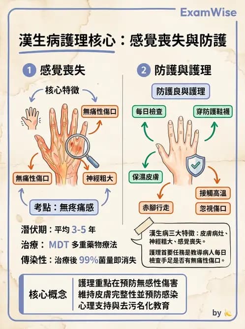 護理師 - 傳染病護理 - AI 圖文解析預覽