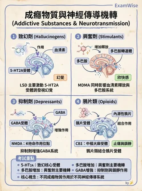 護理師 - 精神科藥物 - AI 圖文解析預覽
