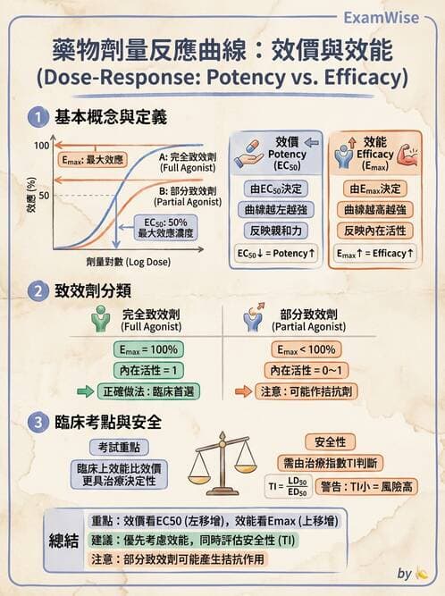 護理師 - 藥理學的一般概念 - AI 圖文解析預覽