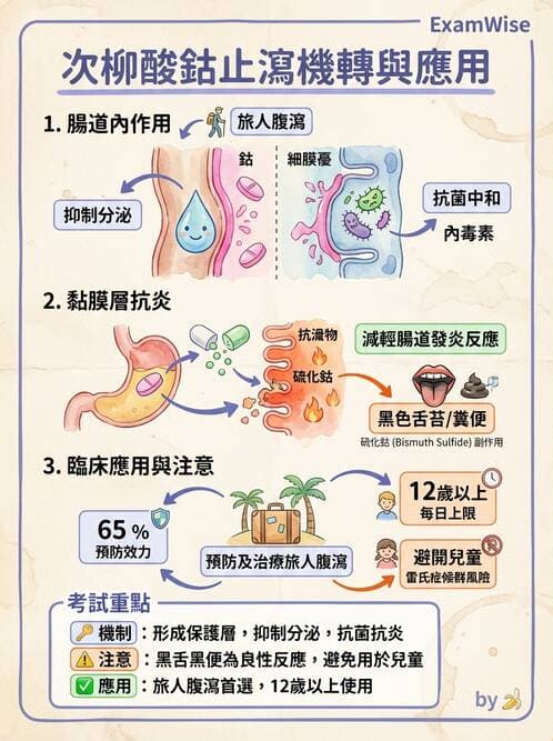 護理師 - 呼吸道及胃腸道作用藥物 - AI 圖文解析預覽