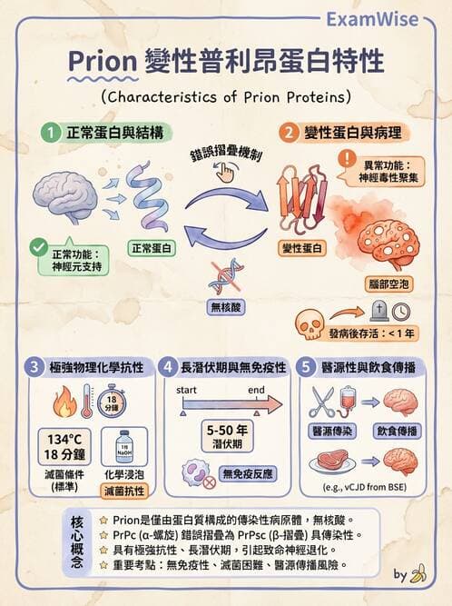 護理師 - 病毒學概念、prion - AI 圖文解析預覽