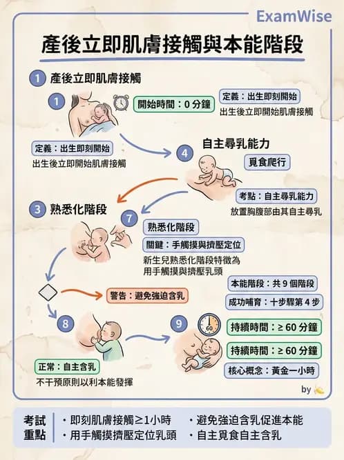 護理師 - 母乳哺餵 - AI 圖文解析預覽