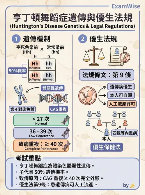 護理師 - 產前篩檢與遺傳診斷 - AI 圖文解析預覽
