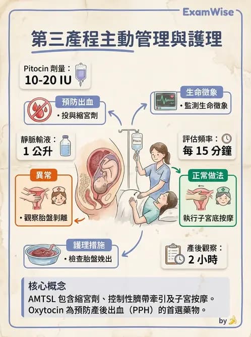 護理師 - 分娩過程與產科急症 - AI 圖文解析預覽