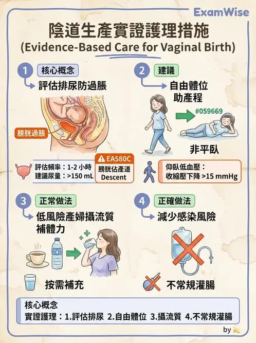 護理師 - 產程機轉與待產護理 - AI 圖文解析預覽
