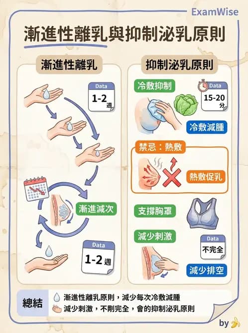 護理師 - 母乳哺餵 - AI 圖文解析預覽
