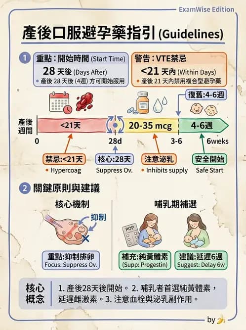 護理師 - 產後心理併發症與家庭計畫 - AI 圖文解析預覽