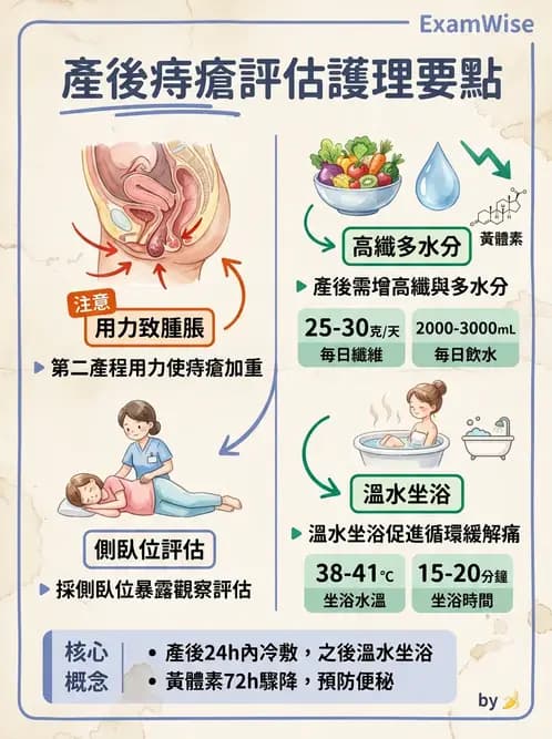 護理師 - 產後生理恢復與護理 - AI 圖文解析預覽