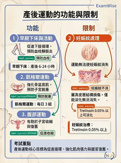 護理師 - 產後生理恢復與護理 - AI 圖文解析預覽