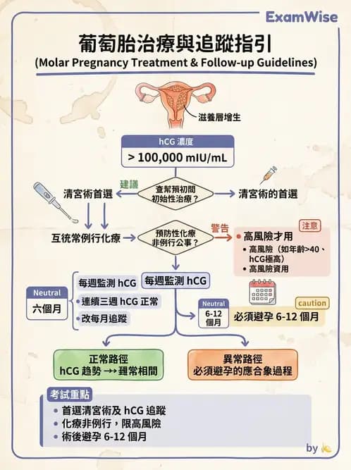 護理師 - 高危險妊娠 - AI 圖文解析預覽