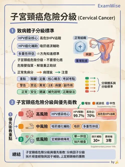 護理師 - 婦科腫瘤與感染 - AI 圖文解析預覽